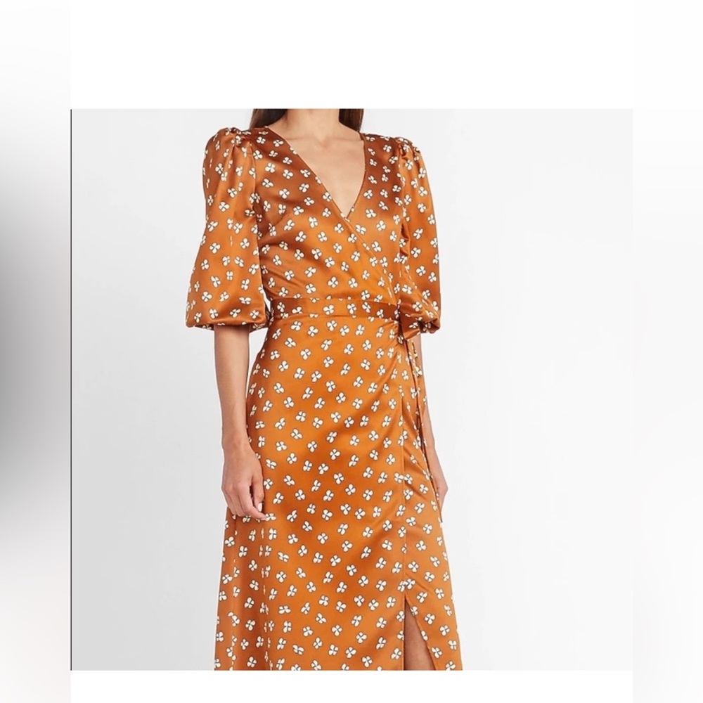 Express ladygang dress